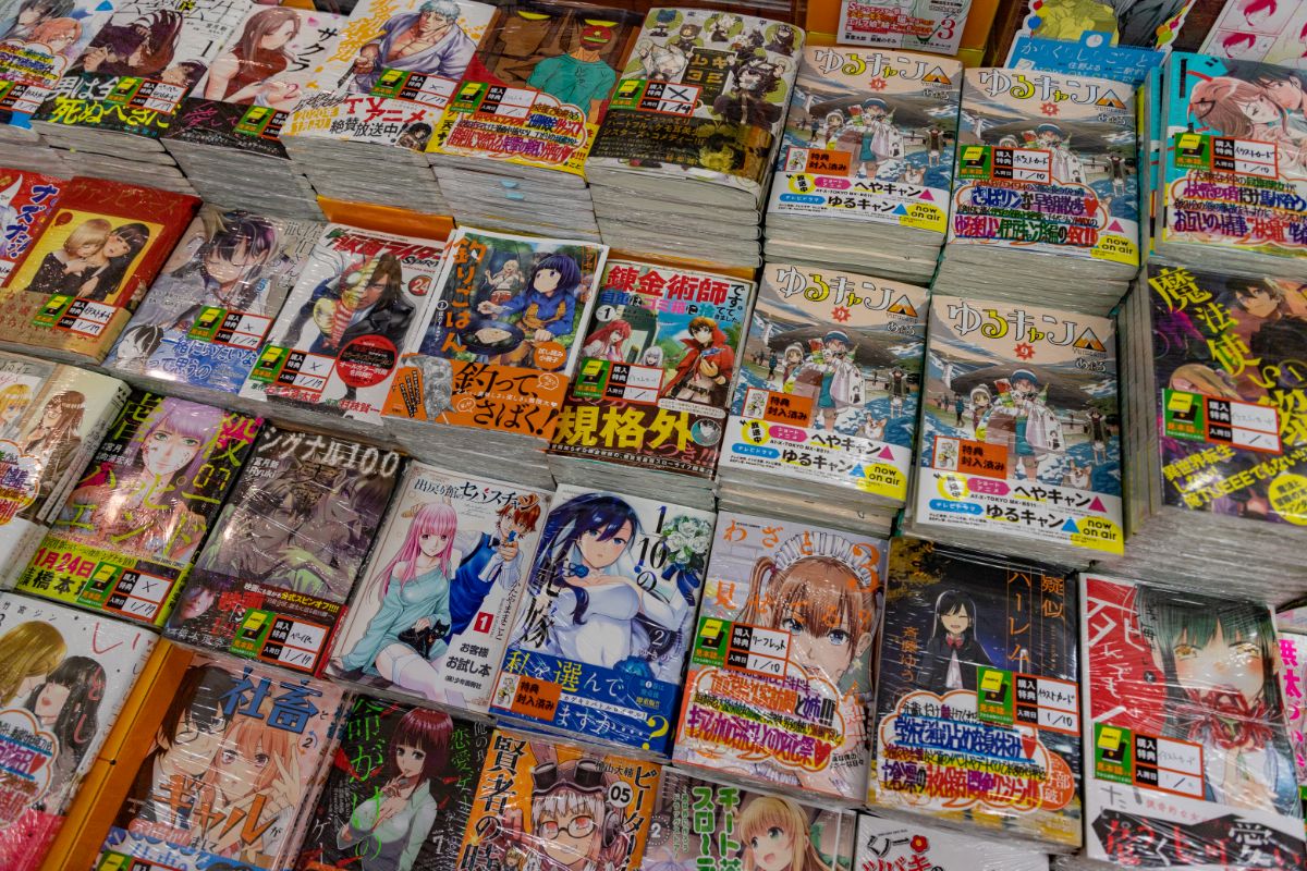 What Is A Light Novel?